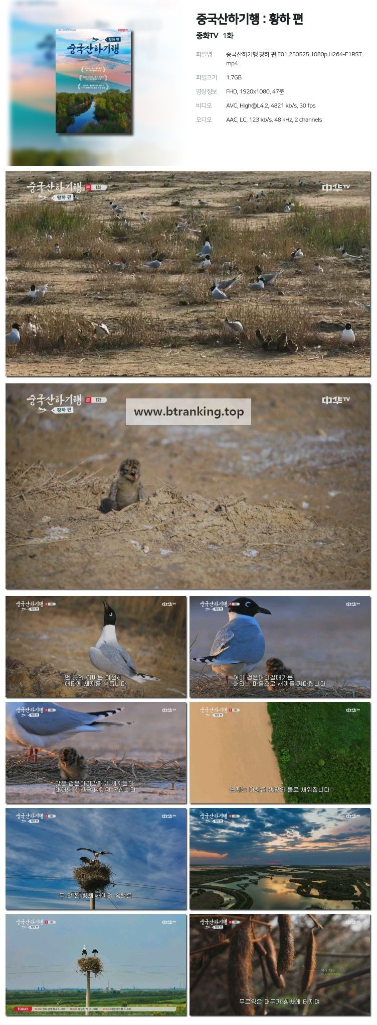 스크린샷