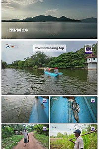 스크린샷