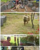 https://www.namu02.shop/data/file/tv_to/thumb-1404645491_kfPyIACv_a860c56cc994e0c21d6a680139d2af6adb4d02f2_80x100.jpg