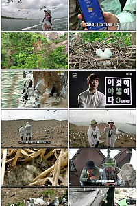 스크린샷