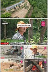 스크린샷