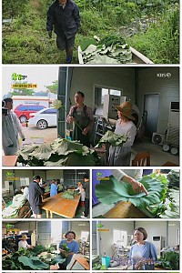 스크린샷