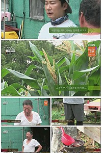 스크린샷