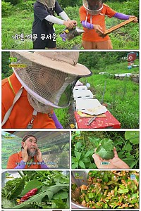 스크린샷