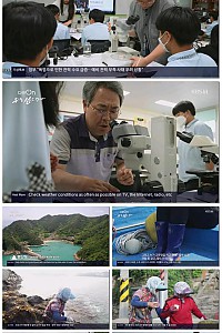스크린샷