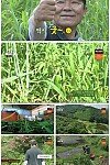 스크린샷