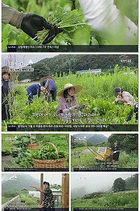 스크린샷