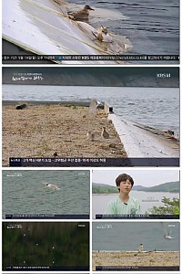 스크린샷