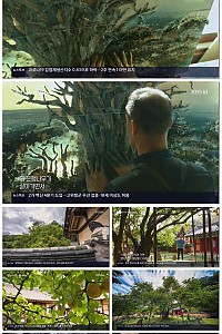스크린샷