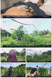 스크린샷