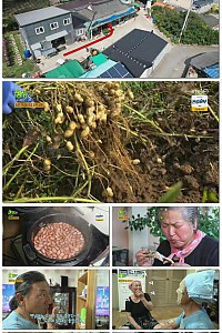 스크린샷