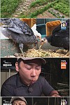 스크린샷