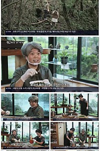 스크린샷