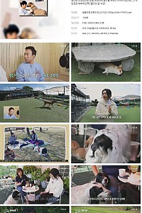 스크린샷