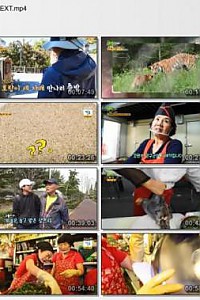 스크린샷