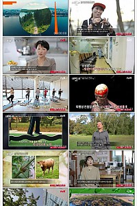 스크린샷