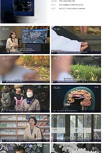 스크린샷