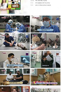 스크린샷