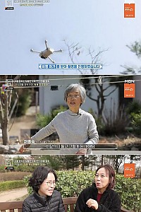 스크린샷