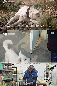 스크린샷
