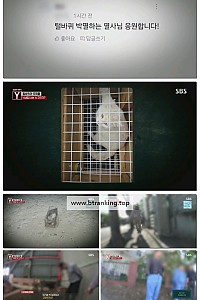 스크린샷