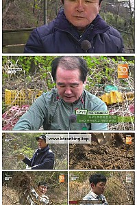 스크린샷
