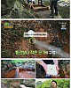 https://www.namu02.shop/data/file/tv_to/thumb-17492952368528_80x100.jpg