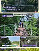 https://www.namu02.shop/data/file/tv_to/thumb-17502527320313_80x100.jpg