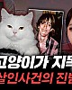 https://www.namu02.shop/data/file/youtube/thumb-17221598316795_80x100.jpg