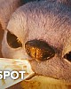 https://www.namu02.shop/data/file/youtube/thumb-17462396496286_80x100.jpg