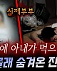 https://www.namu02.shop/data/file/youtube/thumb-17502387045403_80x100.jpg